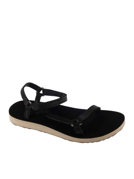 Teva