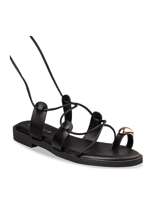 Envie Shoes