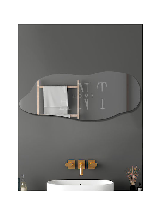 SteweHome Oglindă Arcuită cu Ramă din Plastic Argintie 160x60cm