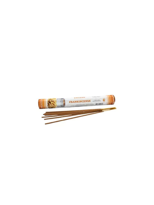 Home Fragrance Sticks Green Tree Frankincense 20 Sticks