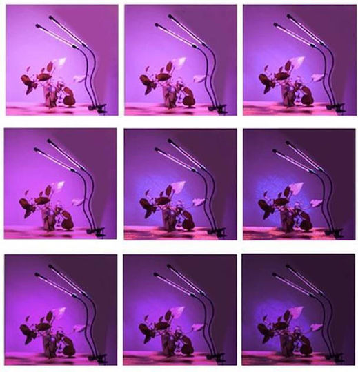 Grow Light cu LED și Putere 20W