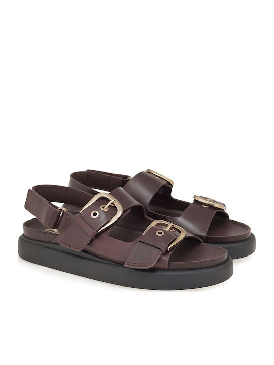 Aristella Bay Women's Sandals Brown