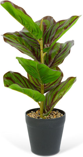Künstliche Zebra-Blatt-Pflanze 34 cm Grüne Schwarze In Topfpflanze Modernes Zuhause Büro Dekor Künstliche Zebra-Blatt-Pflanze 34 cm Grüne Schwarze In Topfpflanze Modernes Zuhause Büro Dekor