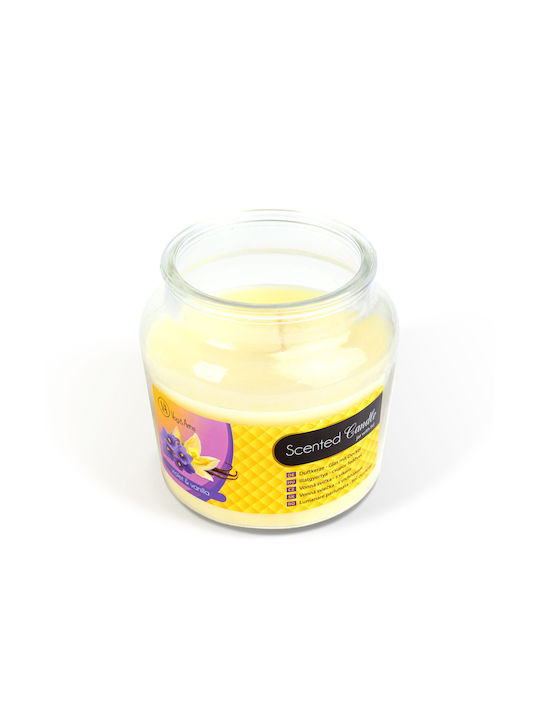 Aromatisches Kerze im Gefäß mit Vanille Parfüm 310g