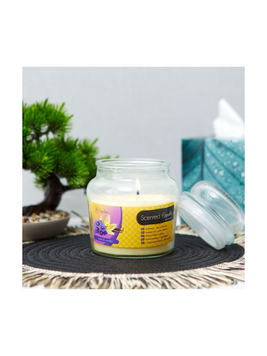 Aromatisches Kerze im Gefäß mit Vanille Parfüm 310g