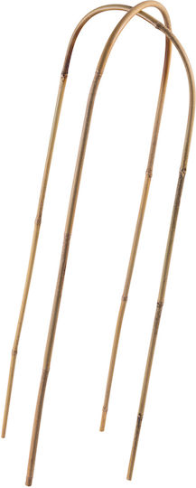 Kadax Bamboo Arch Support 60 X 15 Cm 10 Pcs