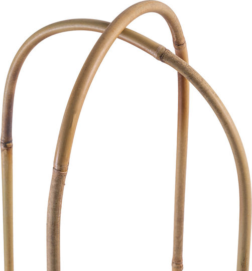 Kadax Bamboo Arch Support 60 X 15 Cm 5 Pcs