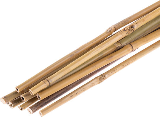 Kadax Araci Din Bambus Pentru Grădină 120 Cm X 8–10 Mm 10 Bucăți