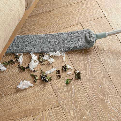 Telescopic Dust Brush Two Attachments