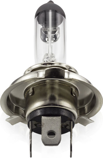 Bec Auto Halogen H4 12v 55/60w +30% Luminozitate Fază Scăzută Fază Înaltă Faruri