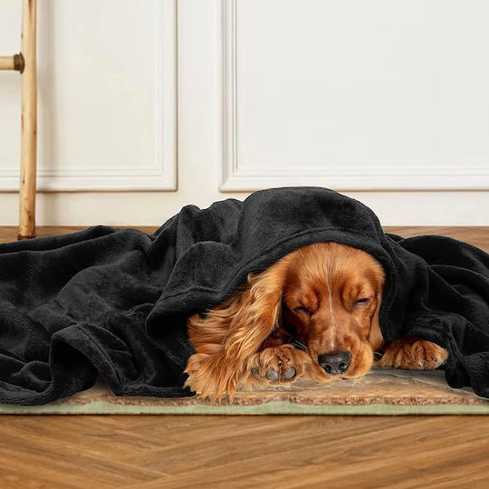 Furry Single Blanket 150x210cm Black