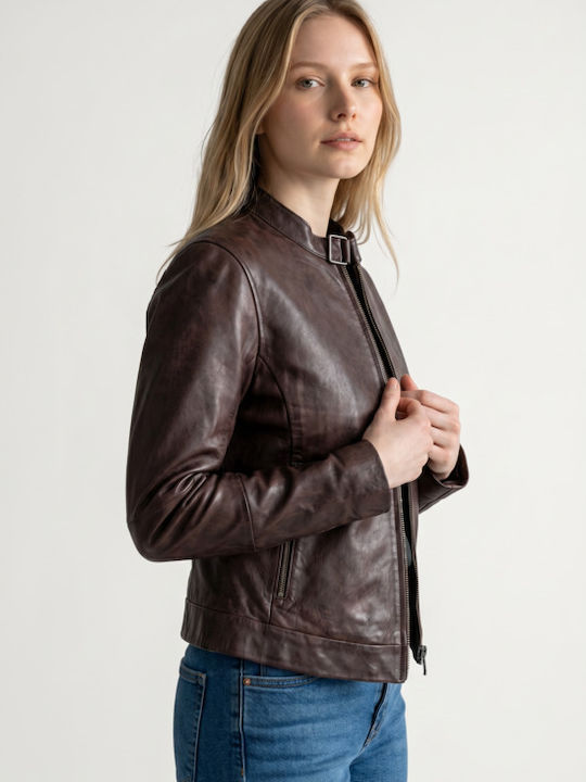 Newton Leather