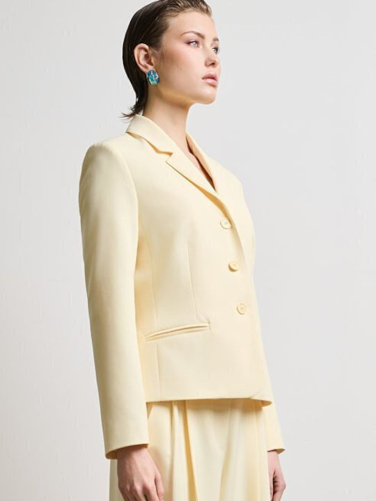 Desiree Langes Damen Tailliertes Blazer Gelb