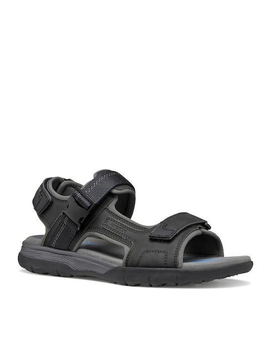 Geox Geox