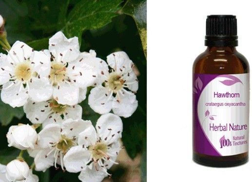 Nature & Body Tinctură Crataegus 50ml