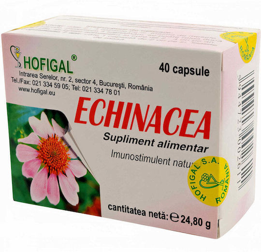 Hofigal Echinacea 500mg 40 Capsule