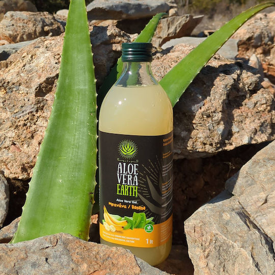 Aloe Vera Earth Αλόη 1000ml Μπανάνα