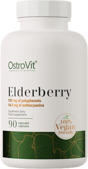 OstroVit Elderberry Extract 330мг 90 капси Elderberry