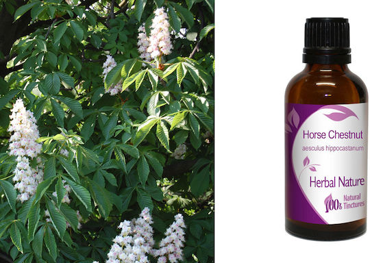 Nature & Body Βάμμα Horse Chestnut 50ml