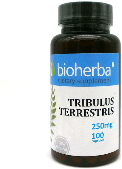 Bioherba Tribulus Terrestris 250мг 100 капси