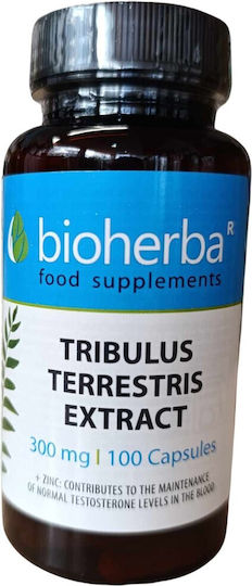 Bioherba Tribulus Terrestris Extract 300мг 60 капси