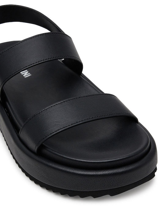 Pollini