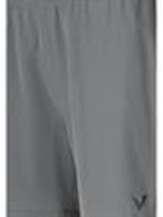 Sport Herren Shorts Grau