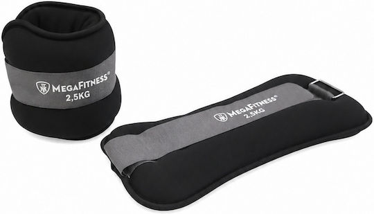 MegaFitness Βαράκια Άκρων 2 x 2.5kg