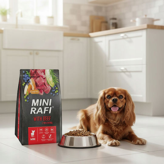 Dolina Noteci Rafi 3kg Ξηρά Τροφή Σκύλων Μικρόσωμων Φυλών με Βοδινό και Κρέας