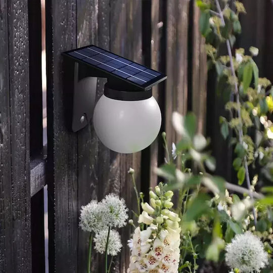 Wall Mounted Solar Light Ball 2.8W with Cold White Light IP65