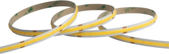 Eurolamp Ταινία LED 24V Φυσικό Λευκό Φως 10m Τύπου COB
