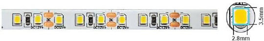 Vito LED Strip 12V 5m Type SMD2835 with Power Supply