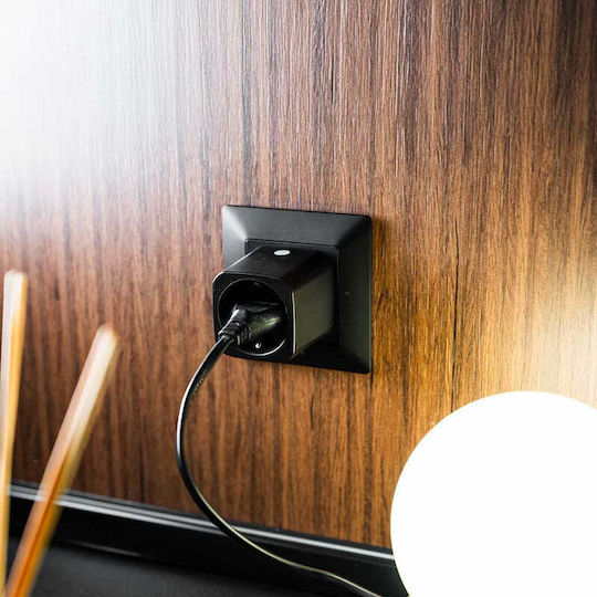 Shelly Single Socket 10 Pieces
