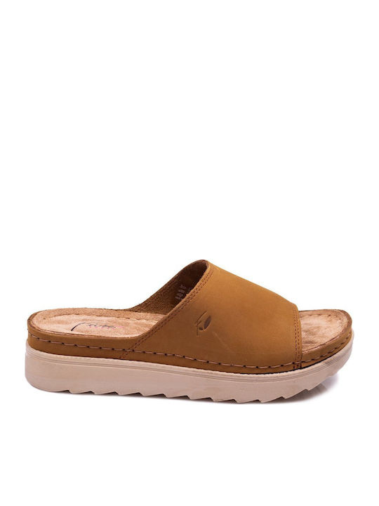 Apostolidis Shoes