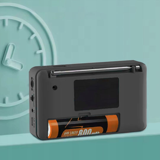 Zenwire 8743983 Φορητό Ραδιόφωνο Επαναφορτιζόμενο με Bluetooth και USB Μαύρο