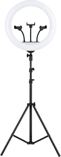 Ring Light 45.72cm and Mobile Phone Holder