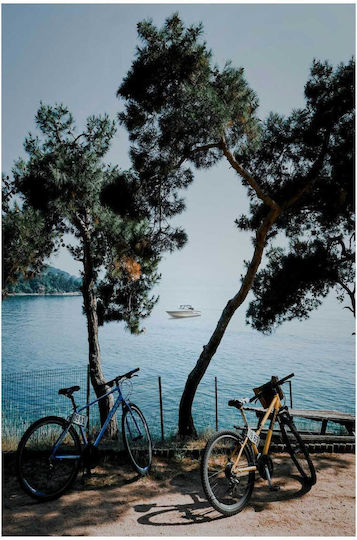 iLovePrints Gemälde Bikes By Sea Ποδήλατα Δίπλα Στη Θάλασσα 70x100