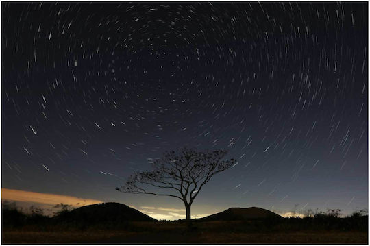 Painting Lone Tree Under Swirling Stars Lonely Tree Under Swirling Stars 150x100
