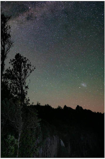 Πίνακας Night Sky Stars Trees Νυχτερινός Ουρανός Αστέρια Δέντρα 70x100