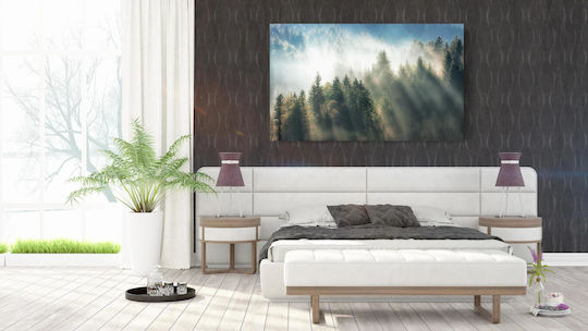 Misty Forest Sunrise Misty Forest Sunrise 1 Misty Forest Sunrise Misty Forest Sunrise 1
