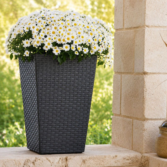 Keter Rattan Planter Γλάστρα Πλαστική Gray