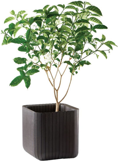 Flower Pot Cube Planter M Brown