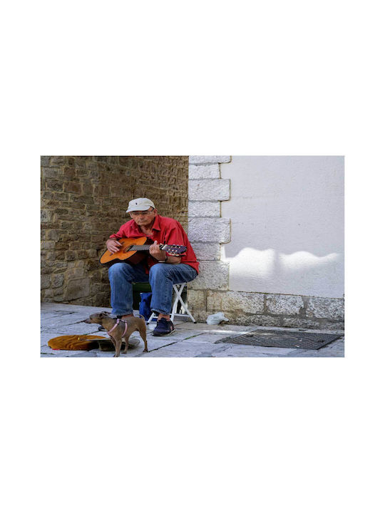 Панел Street Musician Dog Музикант На Улицата Куче 100x70