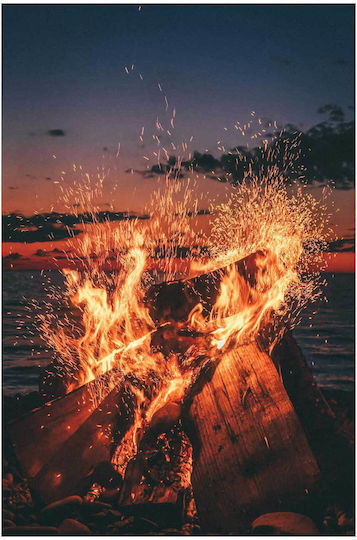Panou Evening Bonfire By Sea Brăzdină Foc Lângă Marea 70x100
