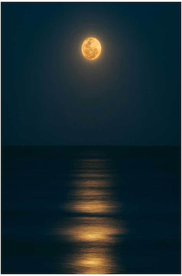 Πίνακας Moonlit Sea Φεγγαρόλουστη Θάλασσα 70x100
