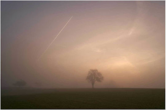 Πίνακας Misty Sunrise Lone Tree Misty Sunrise Lone Tree 150x100