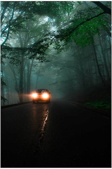 Painting Car On A Foggy Forest Road Car On A Foggy Forest Road 60x90