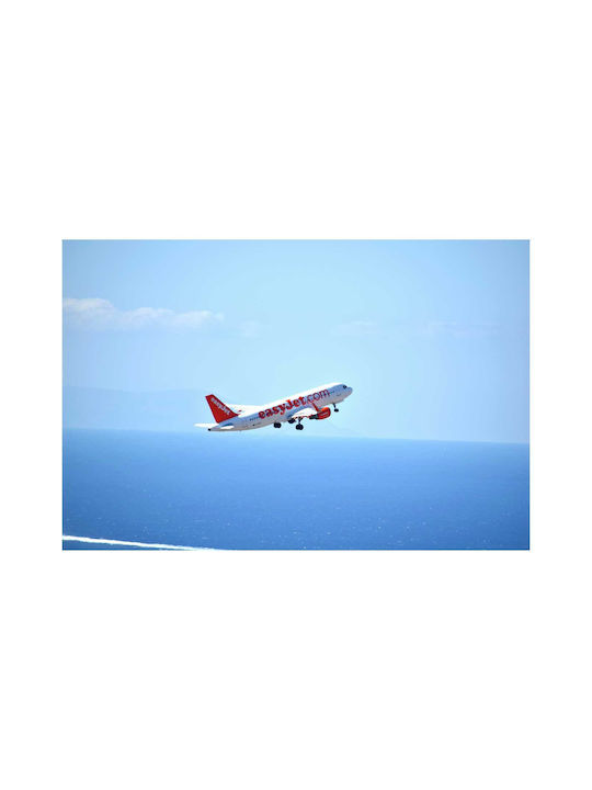 Panou Avion Decolare Peste Mare 100x70