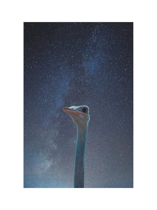 Панел Ostrich Gazing Into Stars Страус Гледа В Звездите 70x100