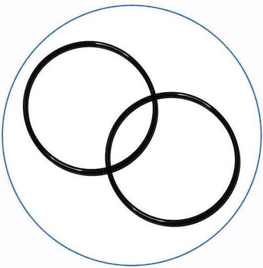 Aqua Filter Big Blue Συσκευή Φίλτρου Νερού Διπλή Κεντρικής Παροχής Διατομής 1'' BBPSCBLP10